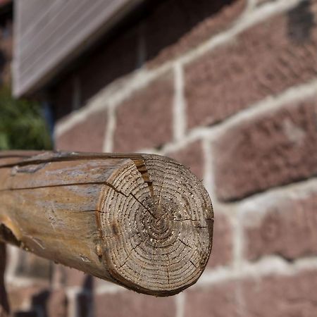 Saunaloft Schwarzwald Gemeinde Gemeinde Aichhalden 外观 照片