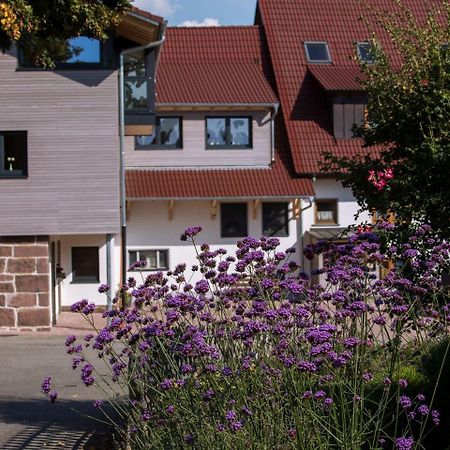 Saunaloft Schwarzwald Gemeinde Gemeinde Aichhalden 外观 照片