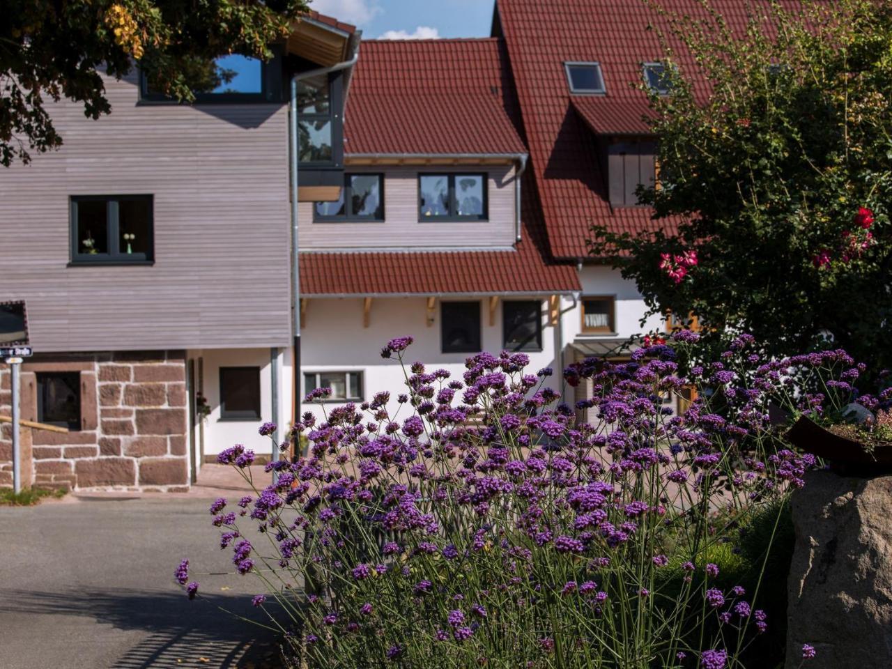 Saunaloft Schwarzwald Gemeinde Gemeinde Aichhalden 外观 照片