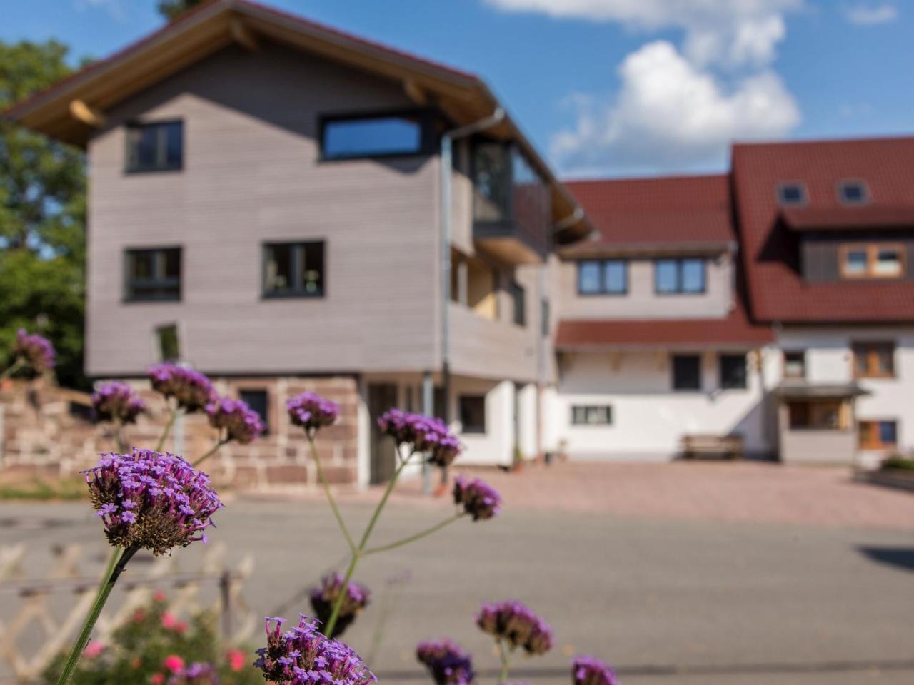 Saunaloft Schwarzwald Gemeinde Gemeinde Aichhalden 外观 照片