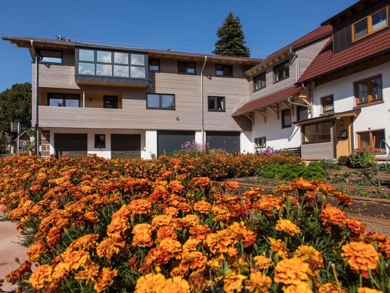 Saunaloft Schwarzwald Gemeinde Gemeinde Aichhalden 外观 照片